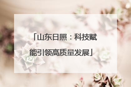 山东日照：科技赋能引领高质量发展